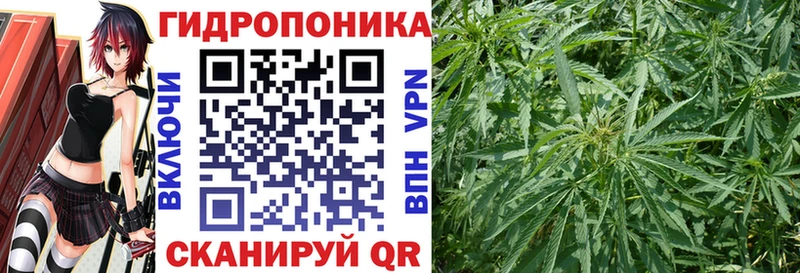 Каннабис White Widow  как найти закладки  Новотроицк 